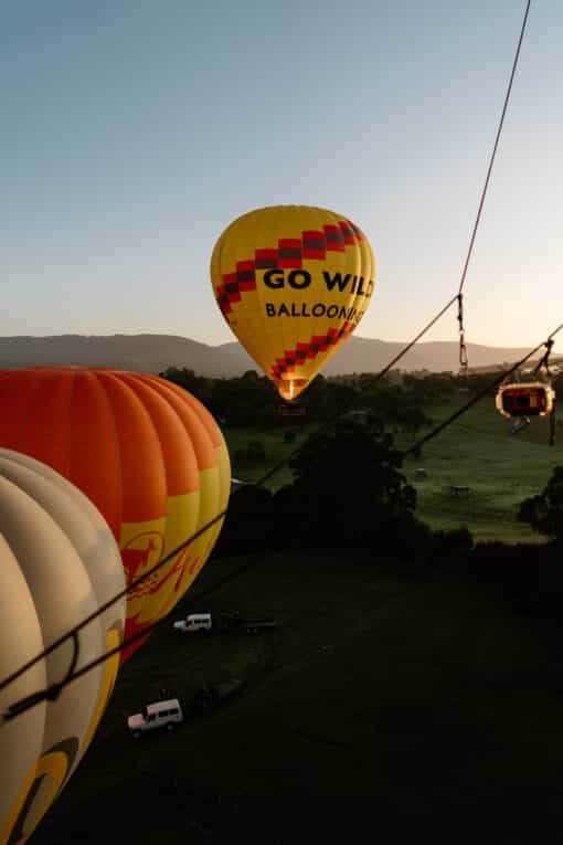 Yarra Valley Flights - Image 3