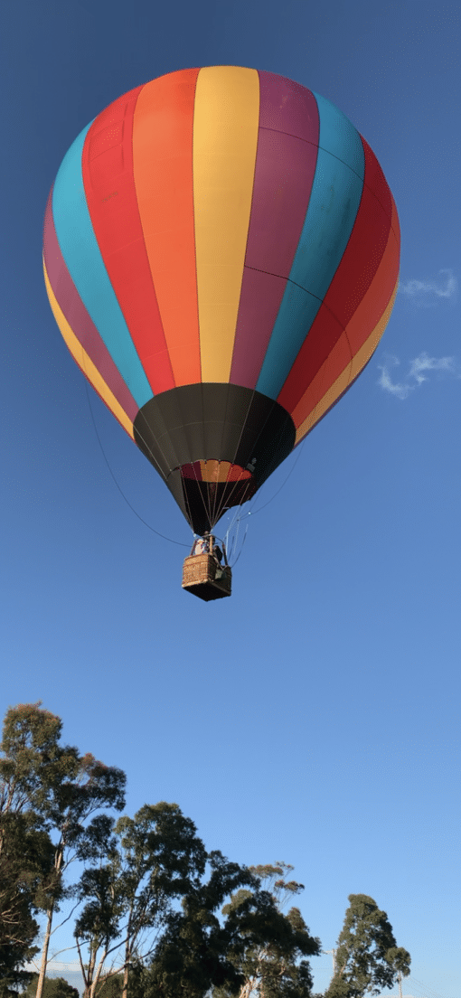 Yarra Valley Flights - Image 2