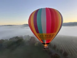 Go Wild Ballooning flying over the Yarra Valley