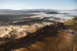 Morning fog over the Yarra Valley