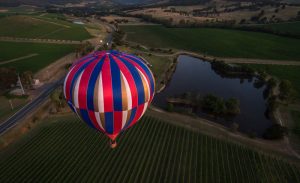 Flying over the vines