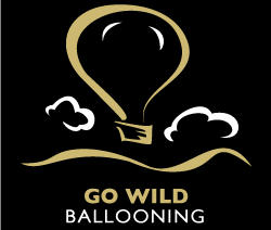 Go Wild Ballooning