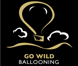 Go Wild Ballooning